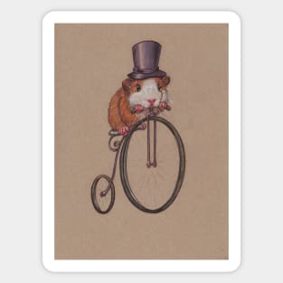 A Very Fine Guinea Pig Sticker